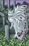 (image for) Belladonna